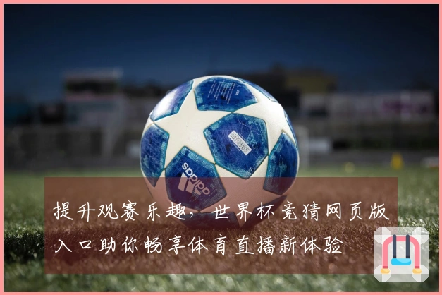 提升观赛乐趣，世界杯竞猜网页版入口助你畅享体育直播新体验