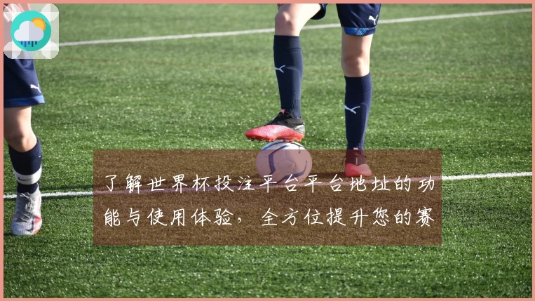 了解世界杯投注平台平台地址的功能与使用体验，全方位提升您的赛事观赏乐趣