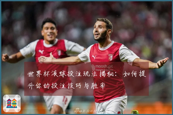 世界杯滚球投注玩法揭秘：如何提升你的投注技巧与胜率
