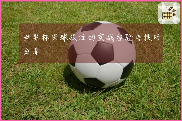 世界杯买球投注的实战经验与技巧分享