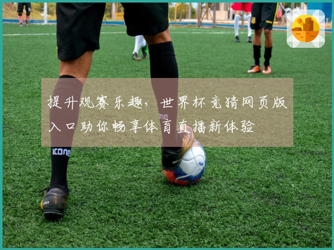 提升观赛乐趣，世界杯竞猜网页版入口助你畅享体育直播新体验