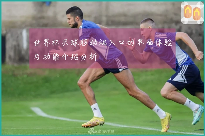 世界杯买球移动端入口的界面体验与功能介绍分析