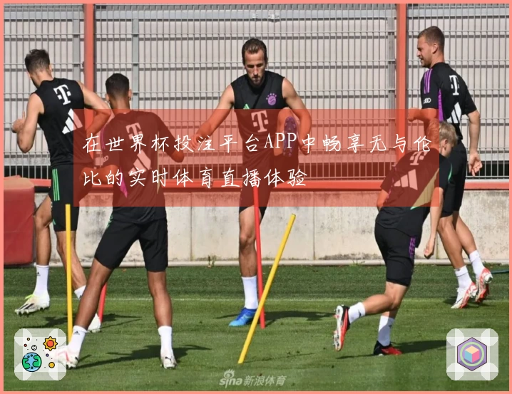在世界杯投注平台APP中畅享无与伦比的实时体育直播体验